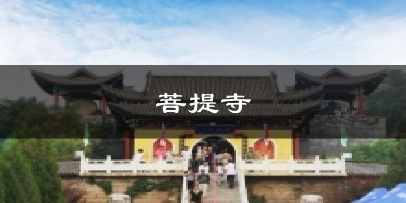 菩提寺天气预报十五天