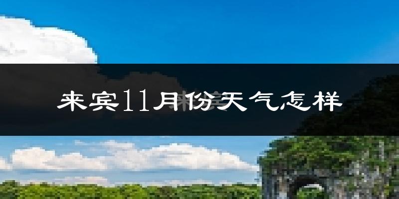 来宾11月份天气怎样?来宾十一月冷吗?