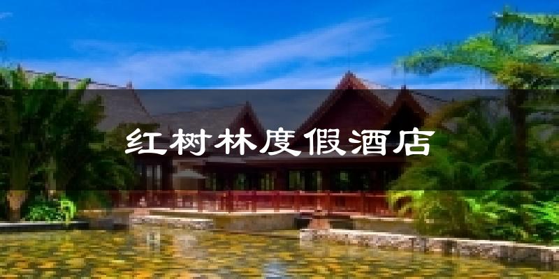 红树林度假酒店今日天气